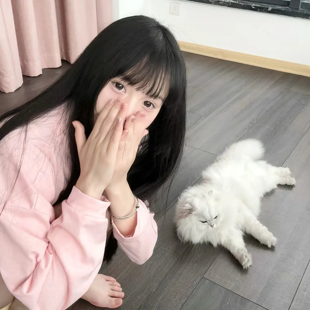 热狗行动